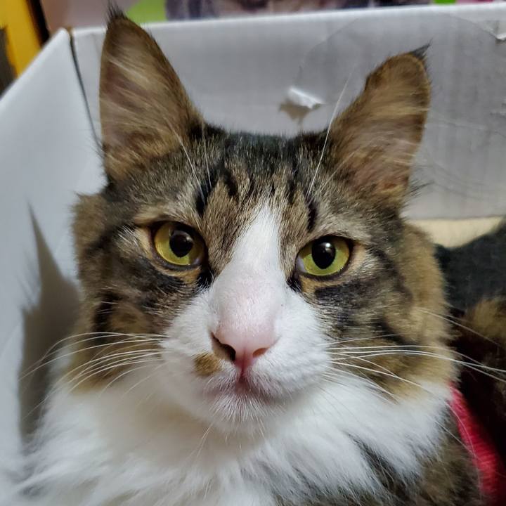 E37f86e9 d95b 4aa0 9105 c7e52b41d1c3 1730371959926