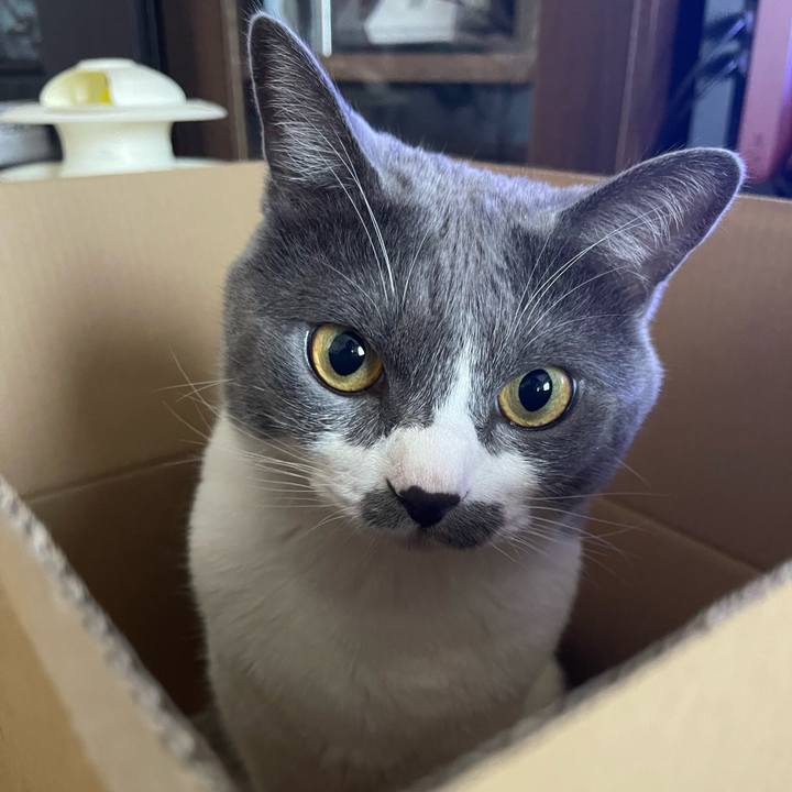 E37f9f0e 6d52 404b 8ea9 46f1944db592 1658787169438