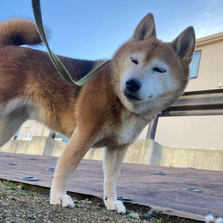 E37fc5dc 5ea1 4da7 82d8 b60851260e91 1709344560093