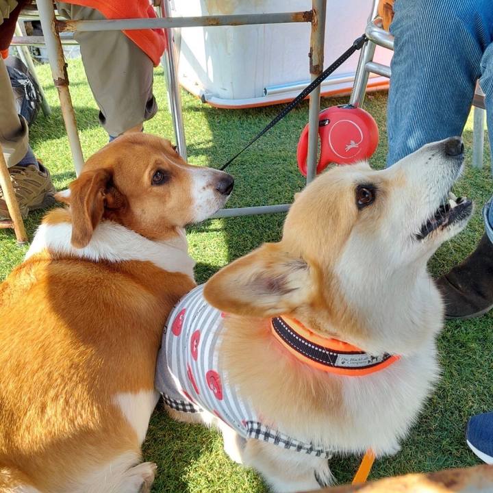 E37fcae8 72c9 481d 9999 34b58249dfa3 1667868172700