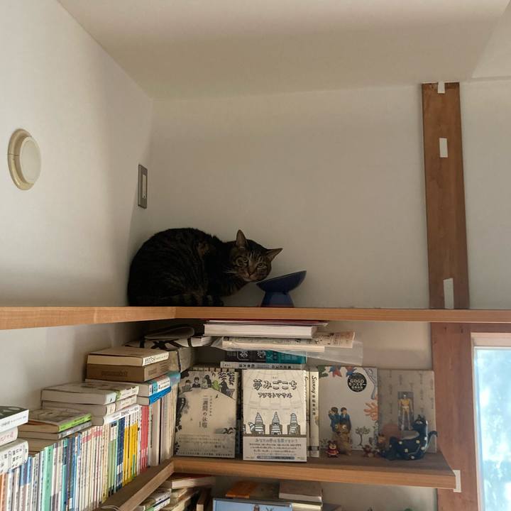 E37ffb51 a6b3 47c6 b44d 7ca37bdadffe 1729343038145