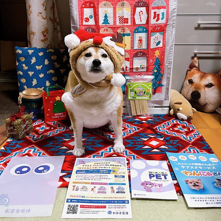 E3802762 0e72 4c4b b0b7 ab0d7286eec3 1670846377994