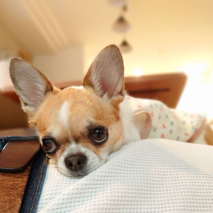 E38029b7 ef64 48fb 9750 a123bde7d12b 1651998508859