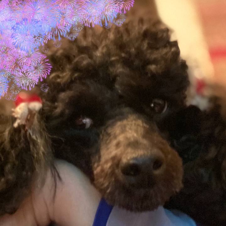 E3804433 7f35 4267 baa5 b117674563cd 1590195431993