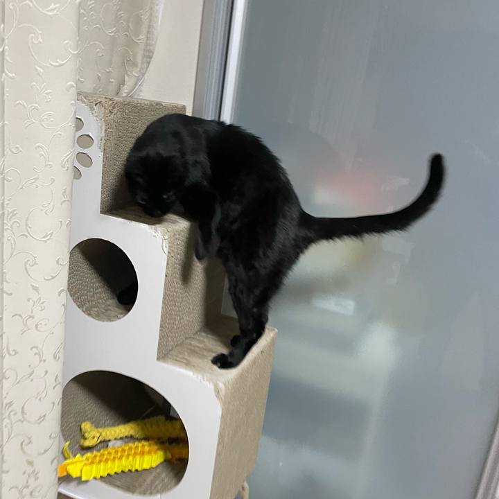 E3806b30 9053 4367 a2f5 23a7bcf97d3a 1761135446182