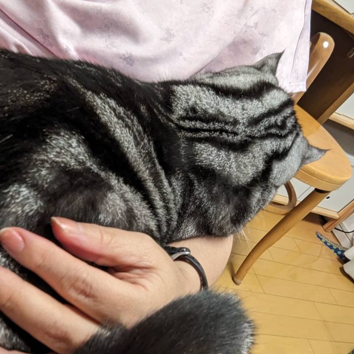 E3807115 e354 474e 90e0 6243a12ddf8d 1692881041471