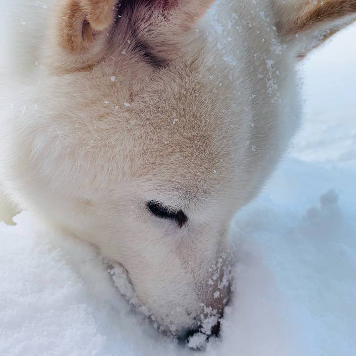 E38071d7 cc0b 47db 8fdf 8b59894cd4bf 1643506495208