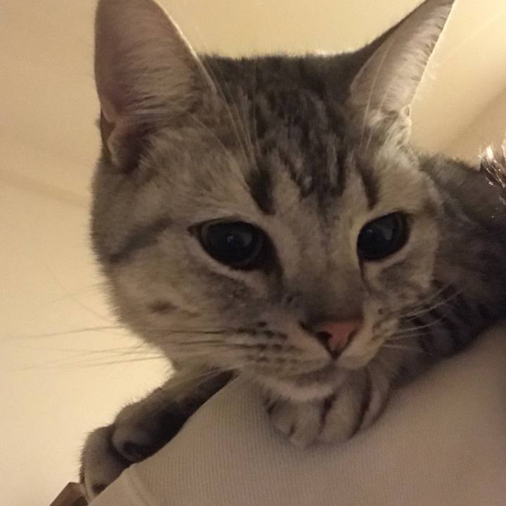 E3808cdf 6c63 4c4a a932 b03fd233b1a5 1508885285211