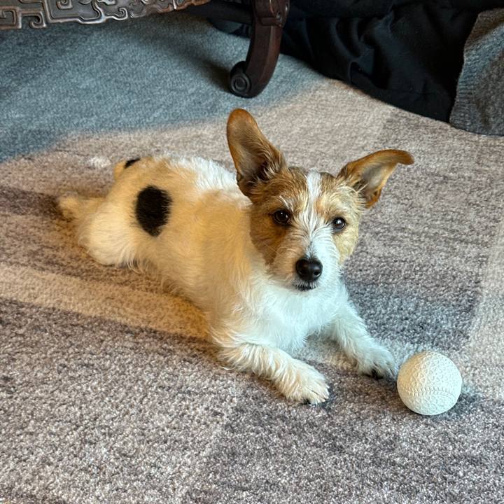 E380984e 801d 4346 8c3c 6621846a6115 1773544630730