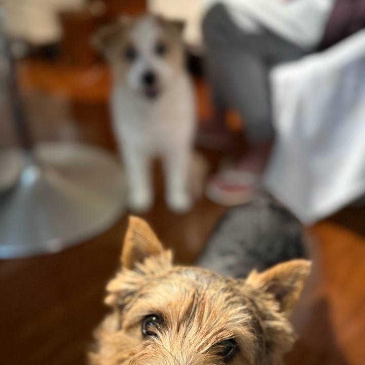 E380b85f dbb0 4b46 bf7f f876721921f7 1764670185408