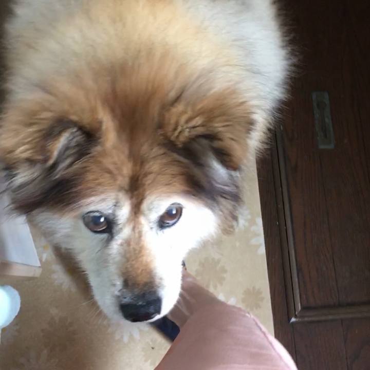 E380b874 ad65 44fe 9fd9 3ff89fa59c15 1650098518538