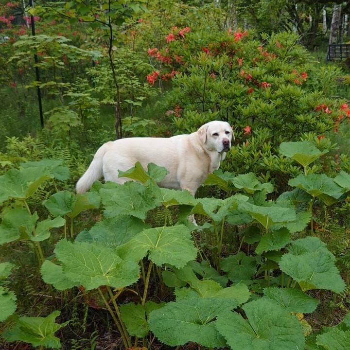 E380b8b3 9923 4f57 a7df 1940149b62eb 1718267003425