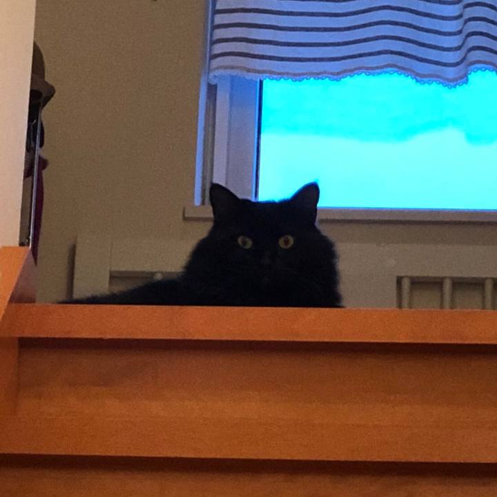 E380dd16 4267 49e6 82a4 997ad37ab710 1535537166975