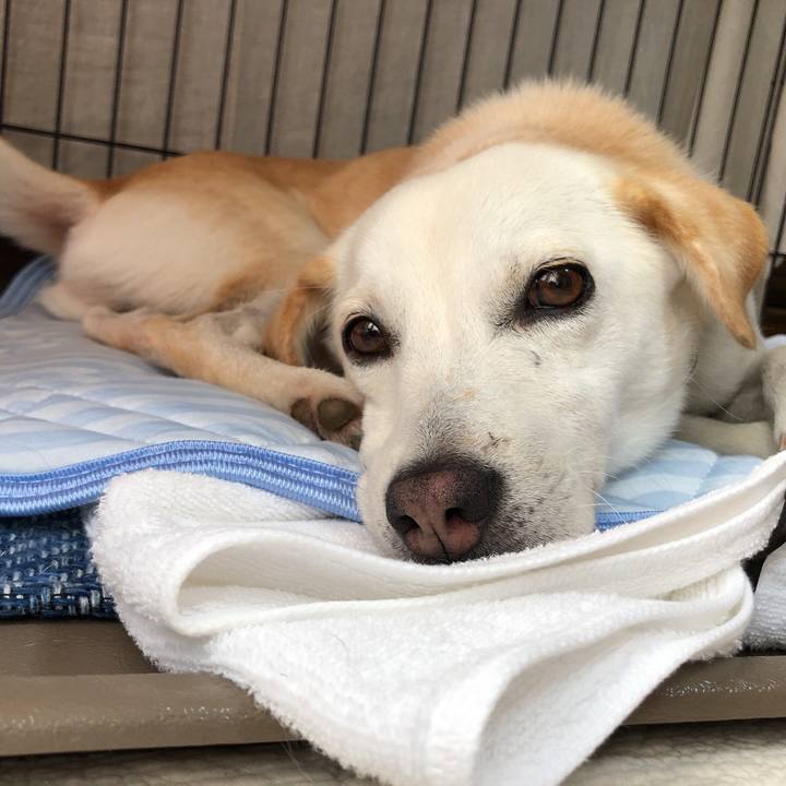 E380f4e0 febb 4289 80d2 f49db89d2435 1629555326249