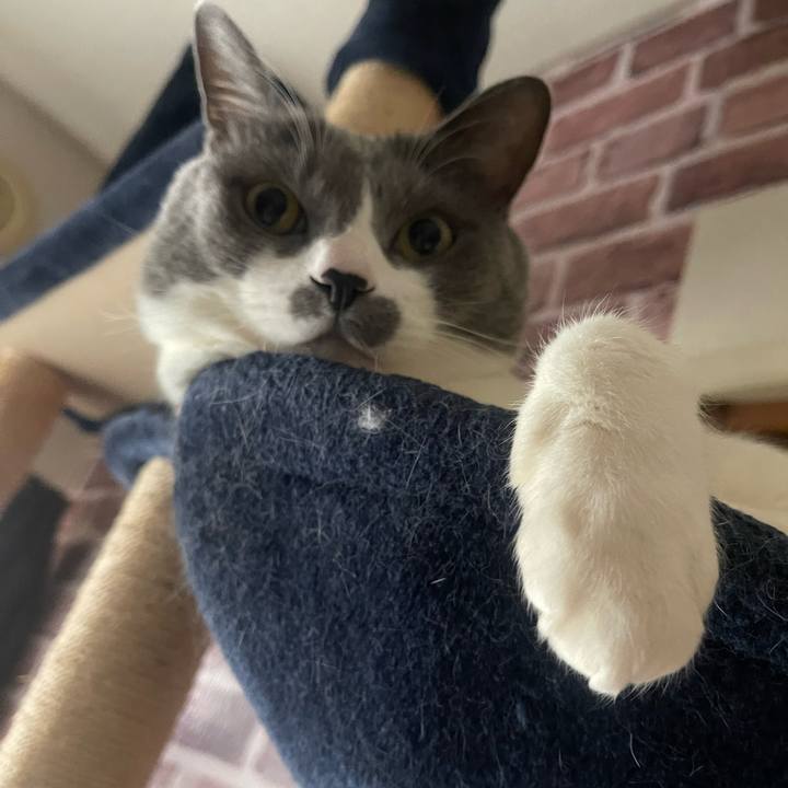 E3811b43 81a0 4f9b 985b a9622108b96d 1741049067884