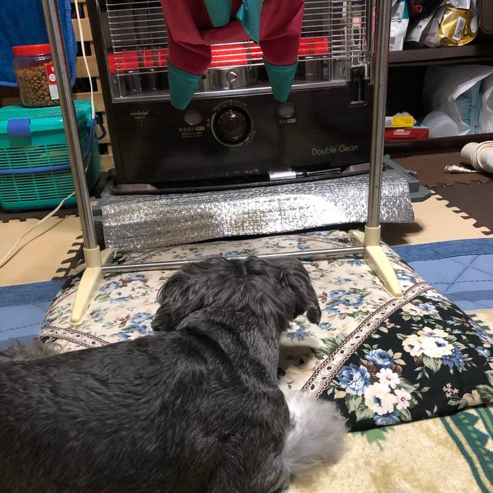 E3815a05 9288 4086 80a7 aaffaeb49ccf 1669202414988