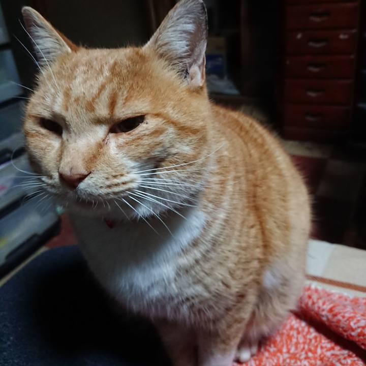 E381ac4f 5da0 4db6 b282 475c5020c59e 1577737797532