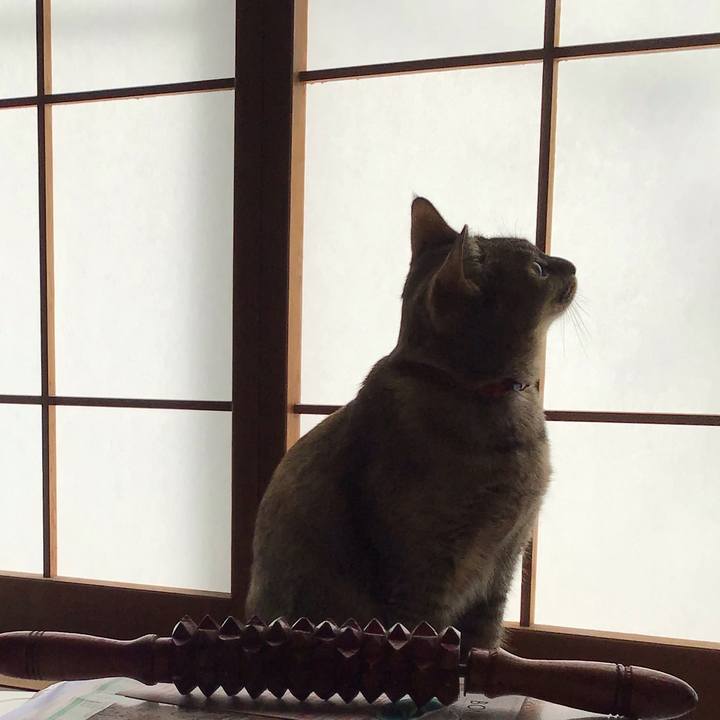 E381b096 8067 4703 b9be 3d565dee1dde 1583880825977