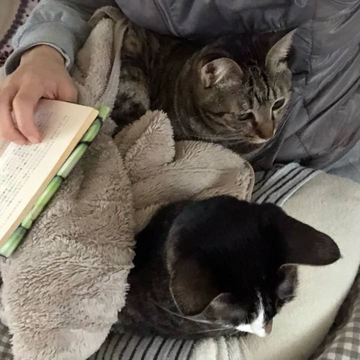 E381bf4f 743d 4de9 9c02 e2281345b233 1547715370412