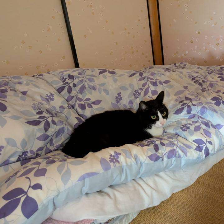 E381c5bd c738 4420 a441 91ff4d714772 1744699833433