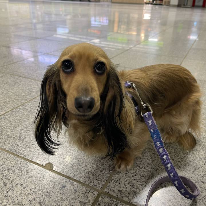 E381dfca 147d 4131 8f9d 435a0df53a7d 1710413786591