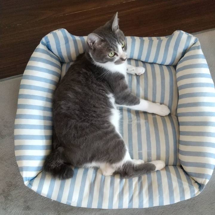 E381ee96 8580 4084 aad1 7eac97e0d983 1597446223946