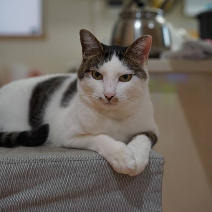 E381f3e6 f151 4c18 9c49 d96241cc1490 1556149565918