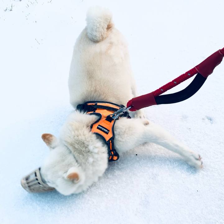 E38215ef 090f 4bb4 8a9b 76cea59182ad 1668636446430