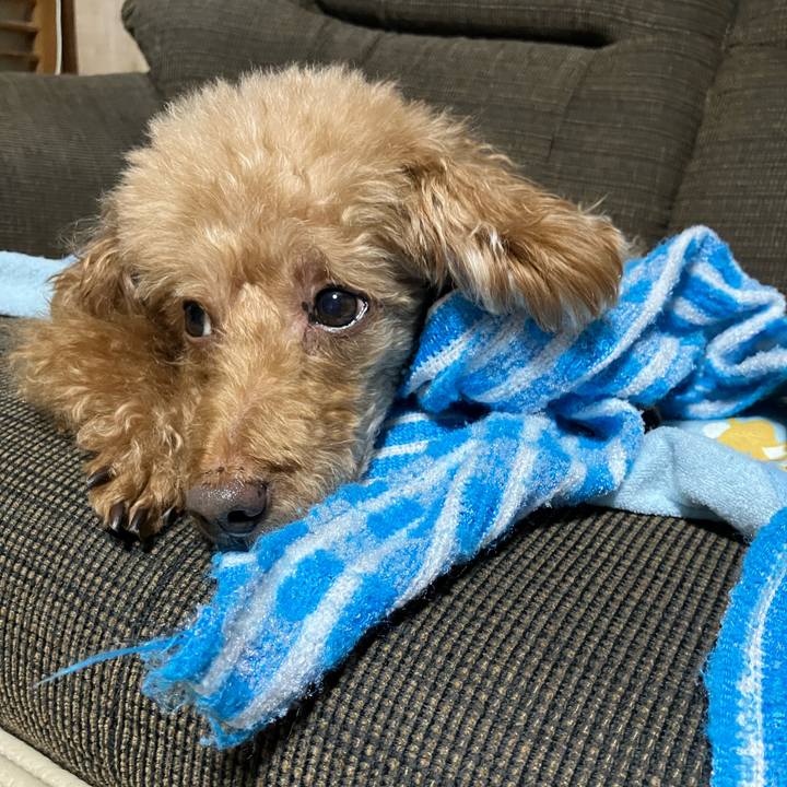 E3821baa a7a4 4e74 b08d 6dda5f383d3e 1703064802975