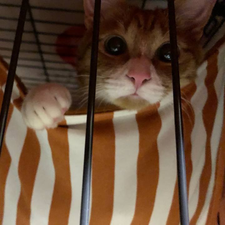 E3821dbe 331f 473f 8f0c d4992d504380 1554041531485