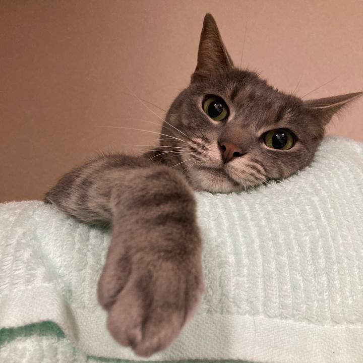 E3823b7a dd28 4c01 bb30 7f9cf399591f 1622991911074