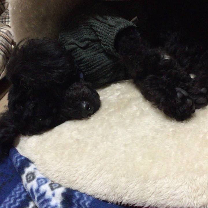 E3824712 daca 4c1d bb77 81e4289bf9de 1518182438741