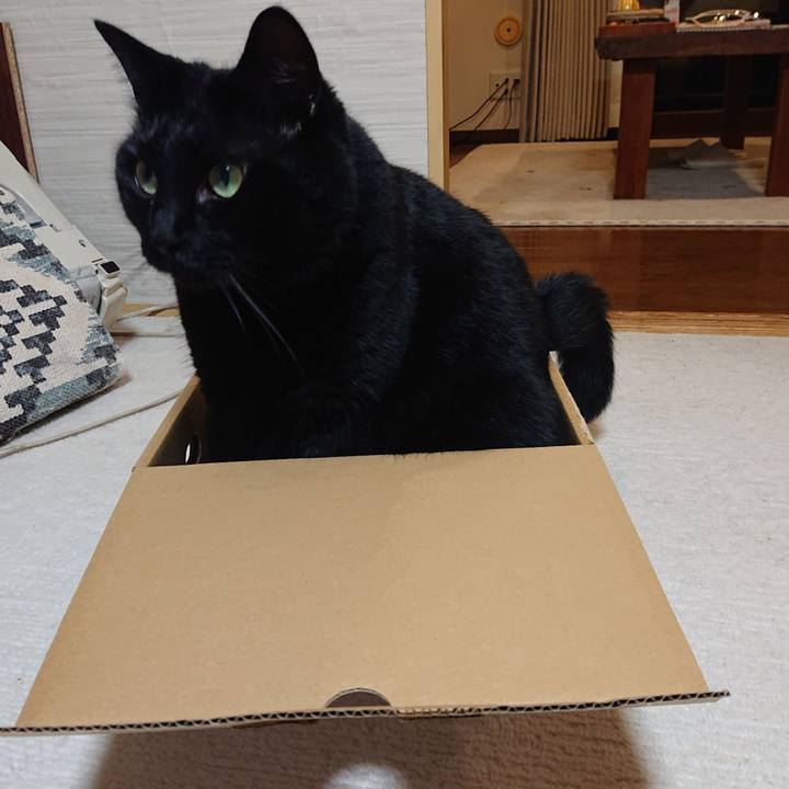 E3824f74 3010 423c b1c6 ea6e87d6bc5a 1655943008477