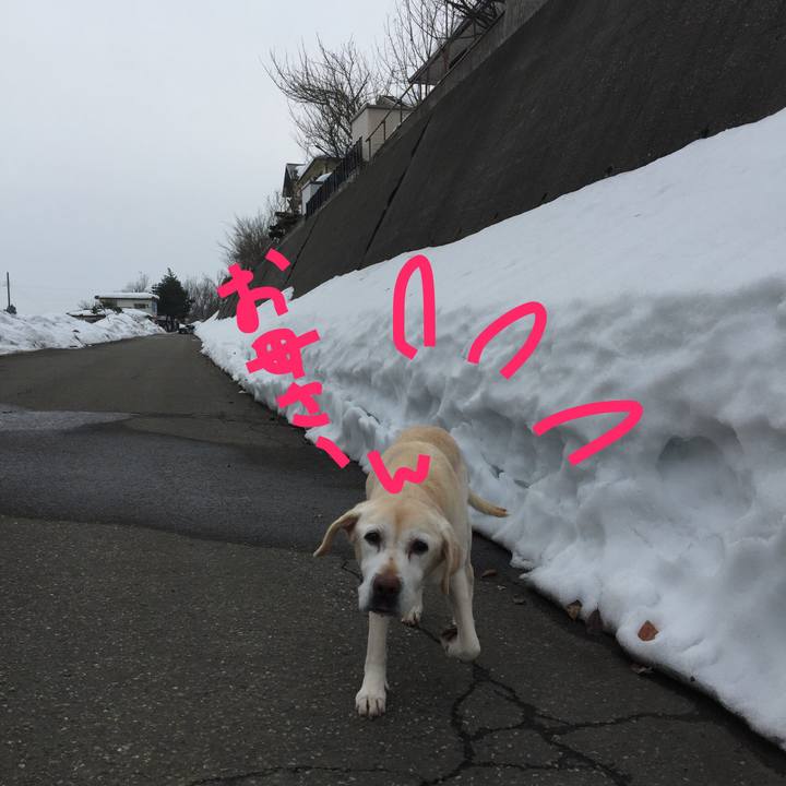 E382610d 2372 4227 8b87 d8e949cb5848 1519802836400