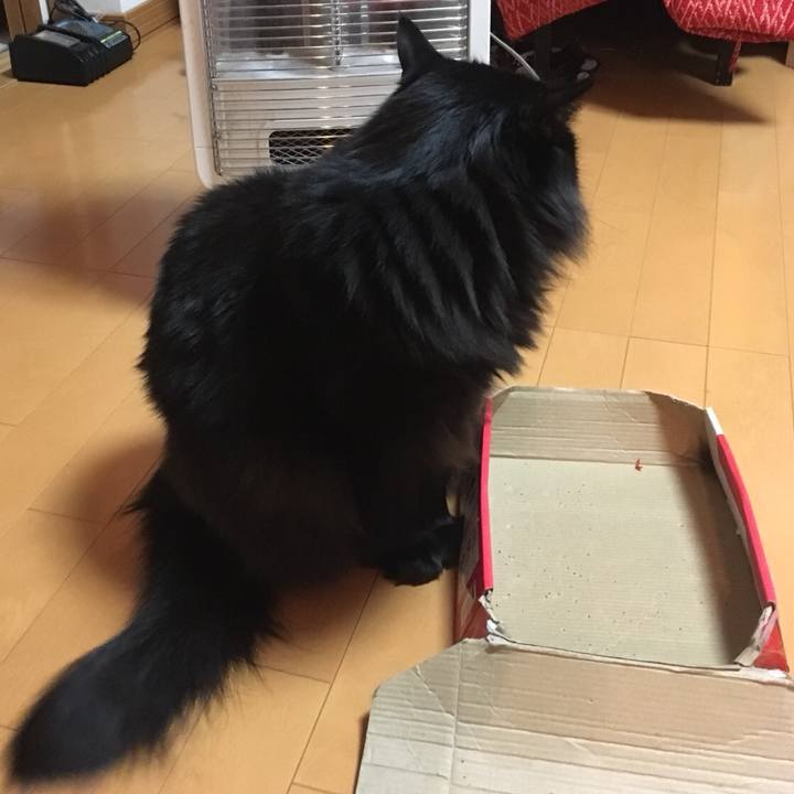 E382722d 3a43 4985 8e52 69837f19d934 1549698642990