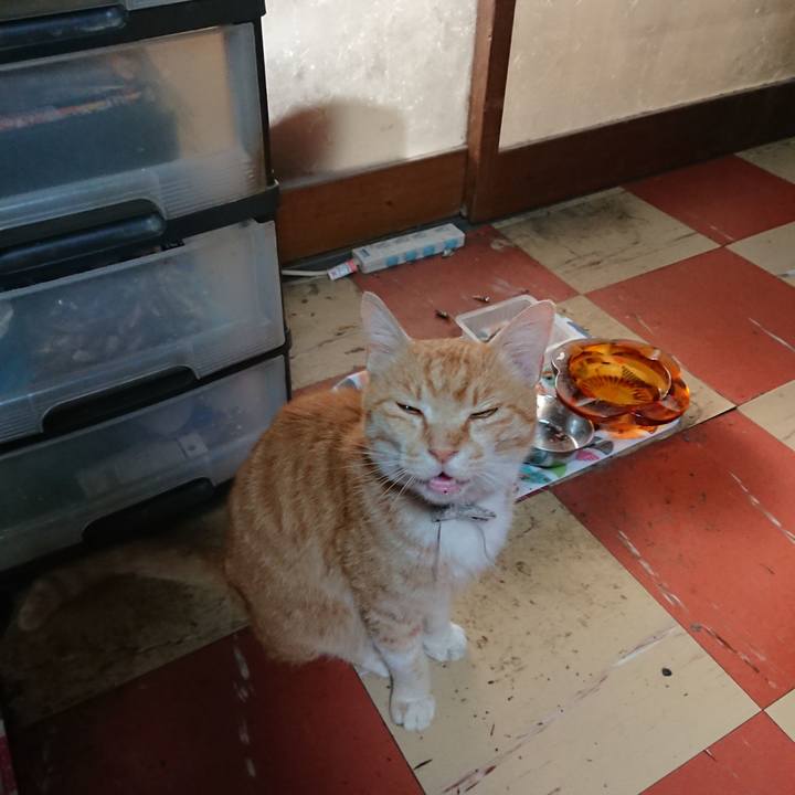 E38295a3 ad72 4755 8a0c ba50885fd8c0 1590181221947