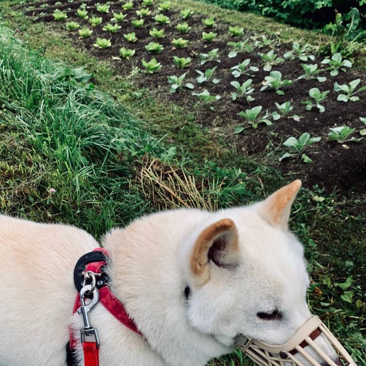 E382bff8 2f6c 456b a4b4 3b72630ce3c9 1566768423023