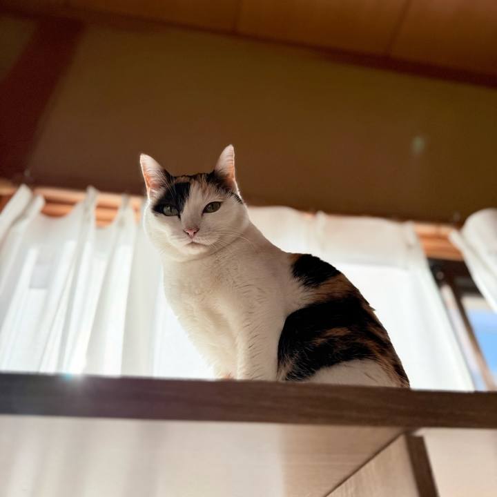 E3831abd da2e 41a9 99b5 6cb6ef110401 1769306195634