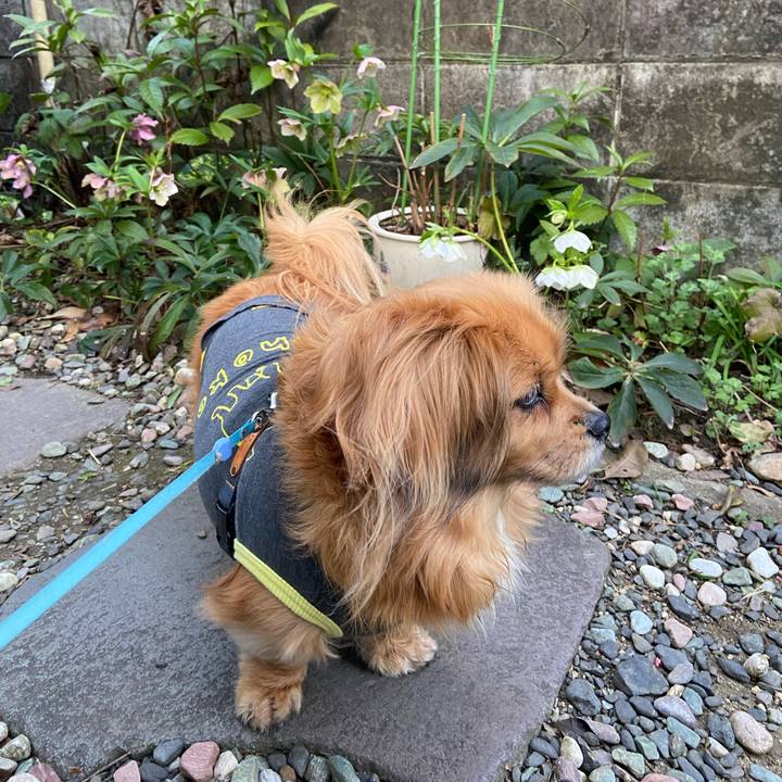 E3835607 28cd 4bfa 8b5d 46d05d496bc4 1616104163742