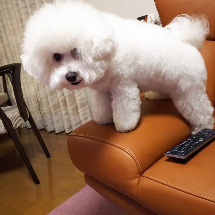 E3838226 f4dc 4f4a b519 dc71daf44301 1519904539739