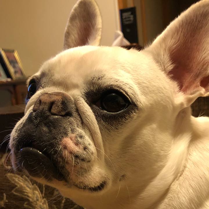 E38384d0 c68e 4788 b3ea 64aa2127de07 1582295324927