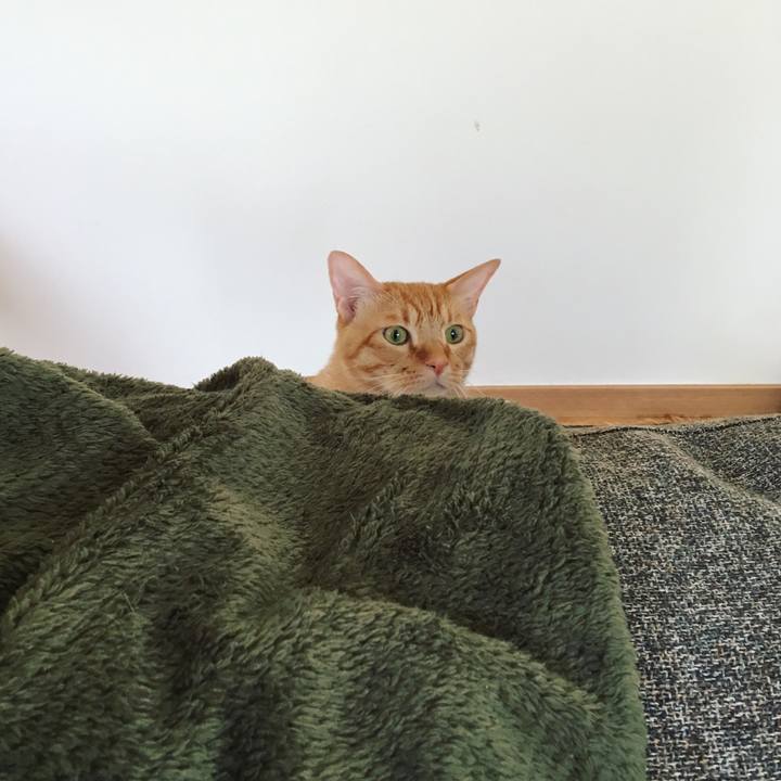 E38384d1 9e69 4b2b b559 54b6f1f7b227 1540340046616