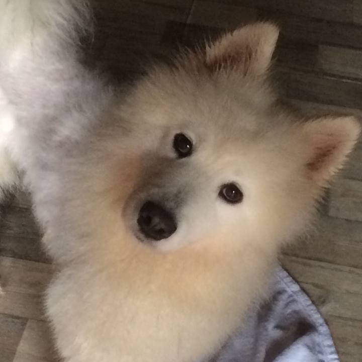 E383985d 6850 444b 8f95 1af93617102f 1541888238713