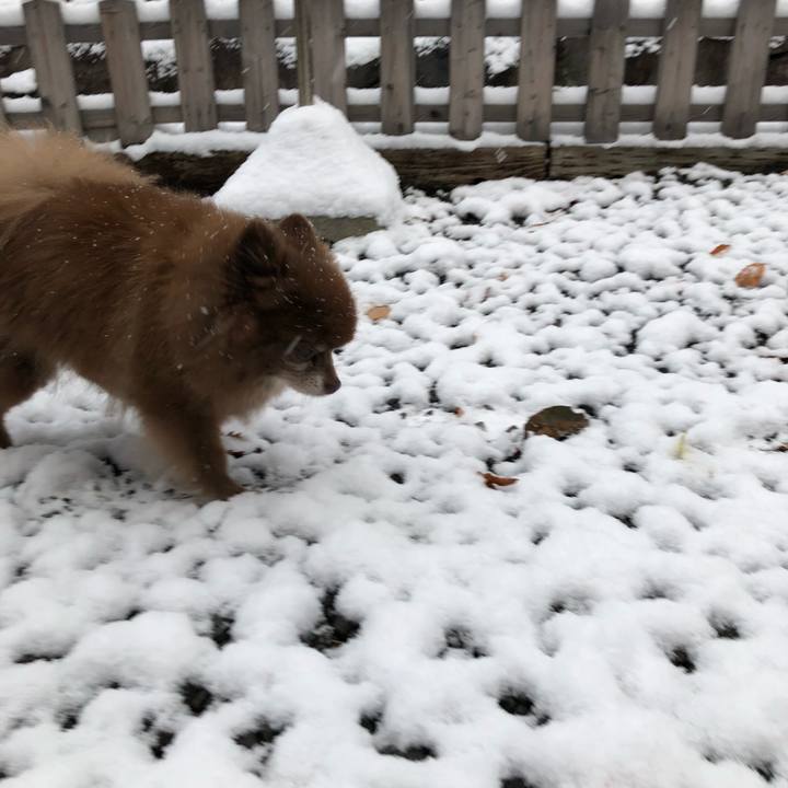 E383b772 fc4b 4991 895c 379a05cd108b 1573790083080