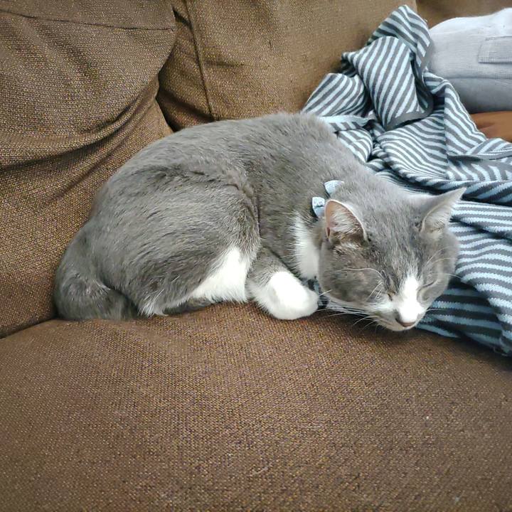 E383b9be e1ce 4093 aaa8 ead6bc26e9af 1672302511109