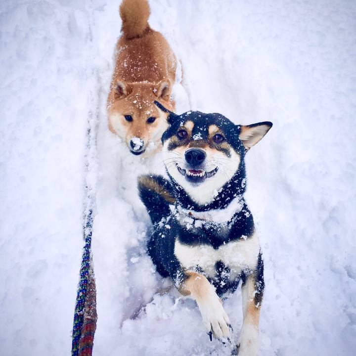 E383d702 39a9 4be4 b4da ee78380e6a25 1585779974901