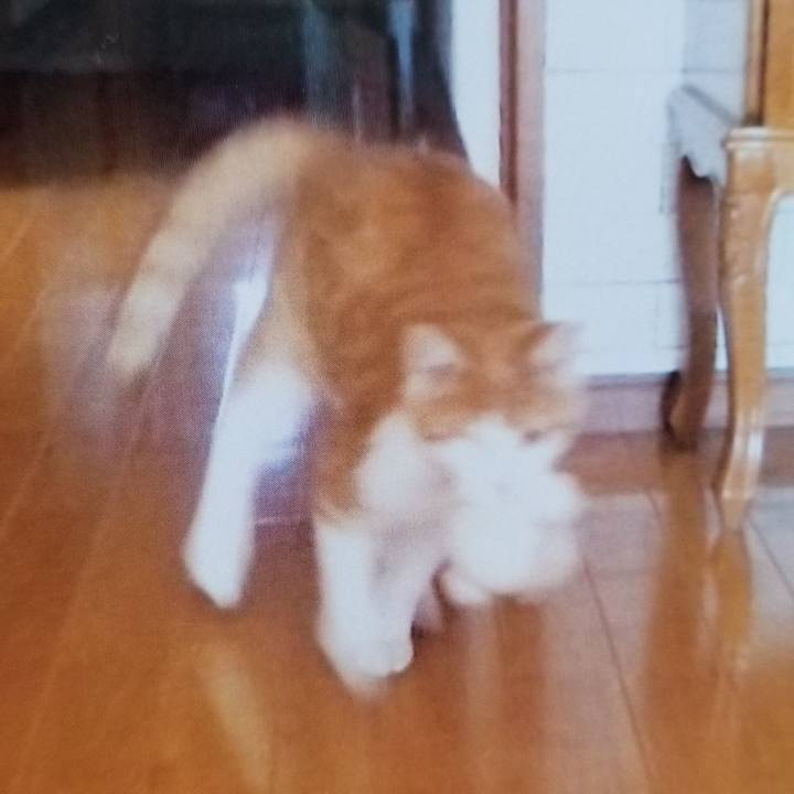 E383f00c e8d4 47a3 aa4b 807ebf74ccdb 1540560631363