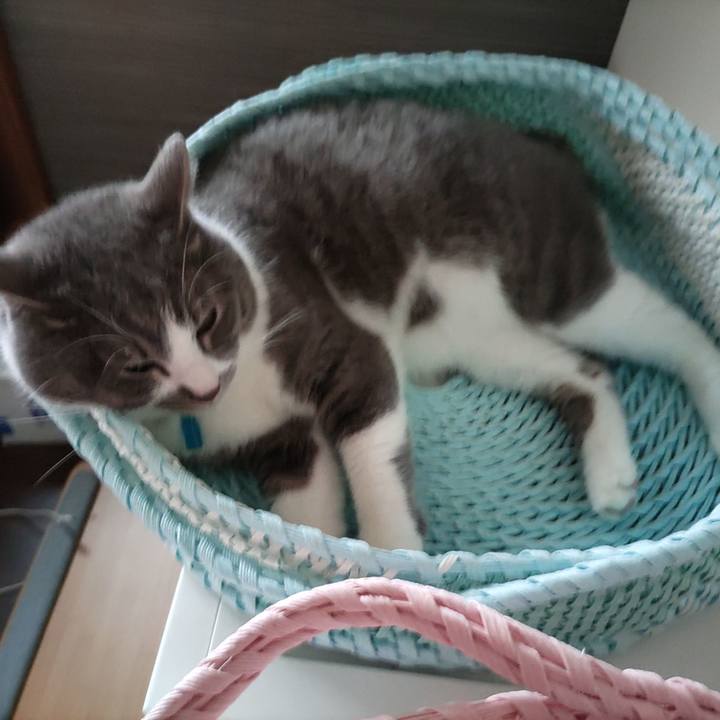 E38410e1 188a 4833 83f2 500f2c1954ff 1685310352047