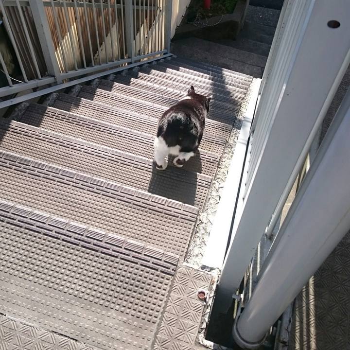 E38430f1 3e3a 446e a355 7766ba4f3744 1524698193106