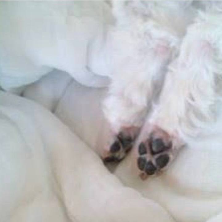 E3844607 9503 40de a269 d3c80cd1acf6 1687271047472